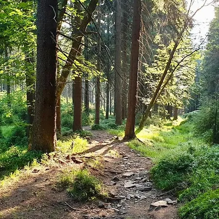 Stribrnice Staré Město